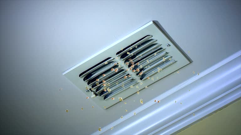 Best Affordable Duct Cleaning Services  in Clarkson Valley, MO